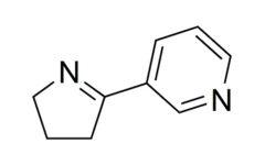 Nicotine EP Impurity D